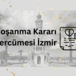 Yeminli ve Noter Onaylı Boşanma Kararı Tercümesi İzmir